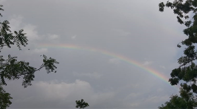 rainbow